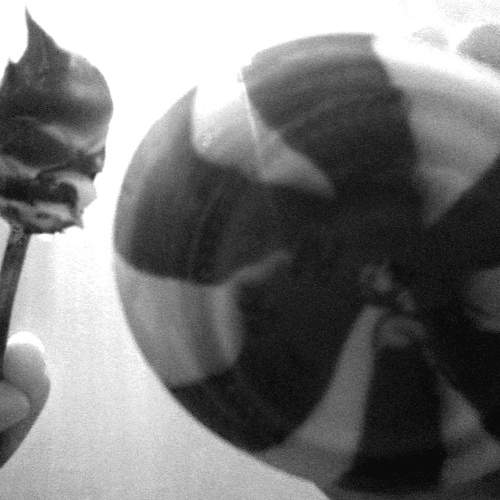 Photo #5777900