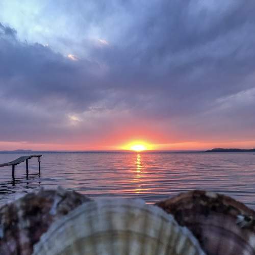 Photo #5778359