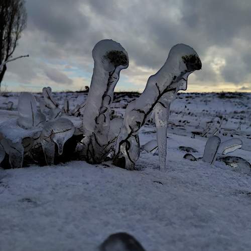 Photo #5778373