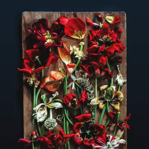 still life literally