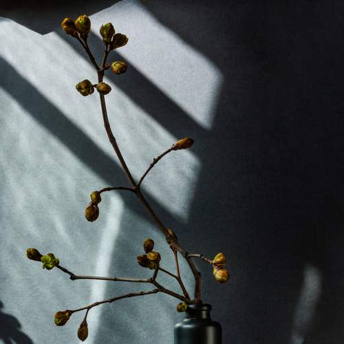 Photo #5778672