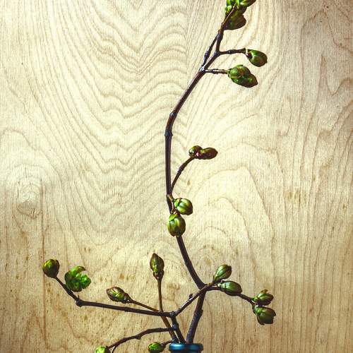 Photo #5778674