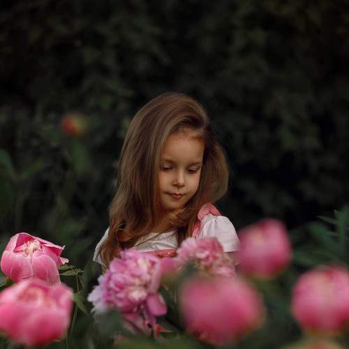 Фотография #5778821