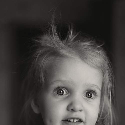 Photo #5778906