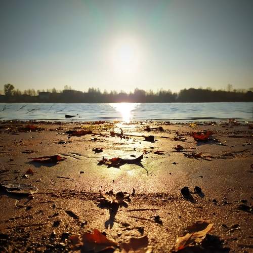Photo #5779561