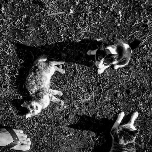 Photo #5779656