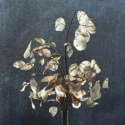 Photo #5779830