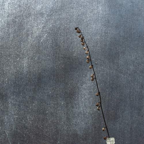 Photo #5779845