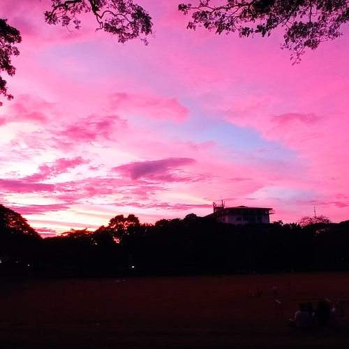 Pink Sky