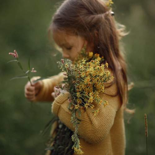 Фотография #5779953