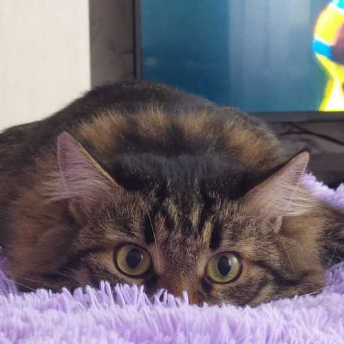 Photo #5779993