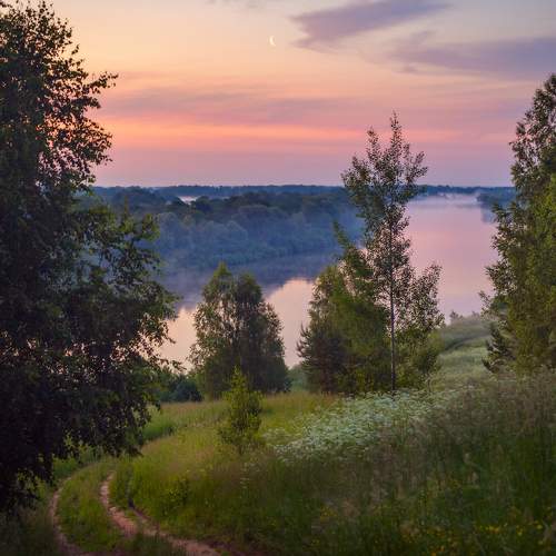 Photo #5780101