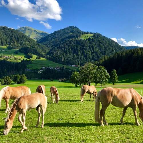 Tirol Austria