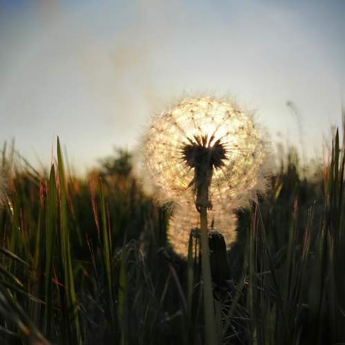 Photo #5780421