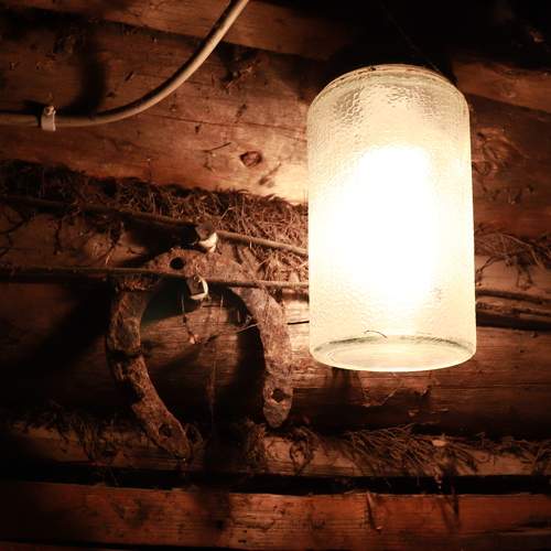 Photo #5780646