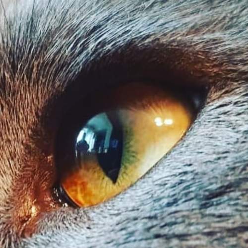 Photo #5780778