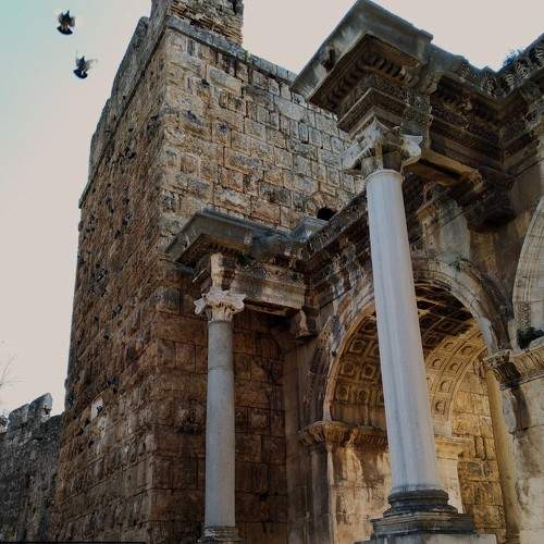 Photo #5780815