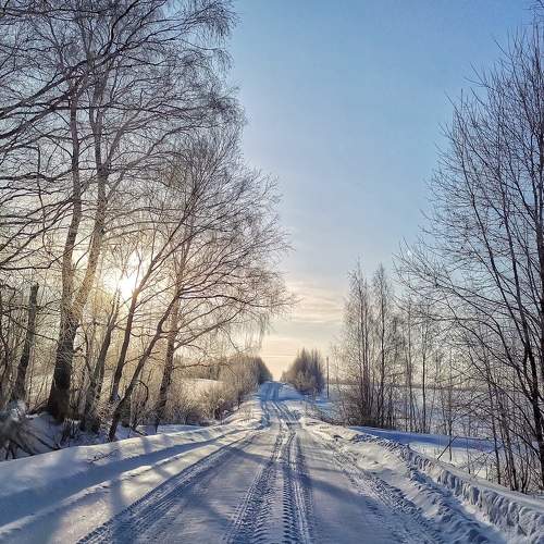 Photo #5781024