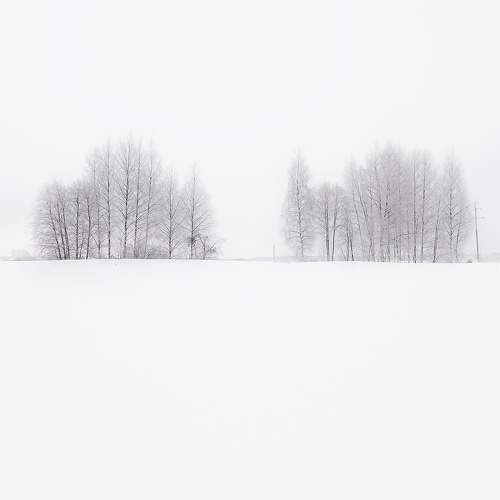 Photo #5781068
