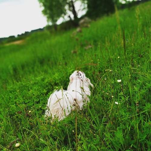 Photo #5781110