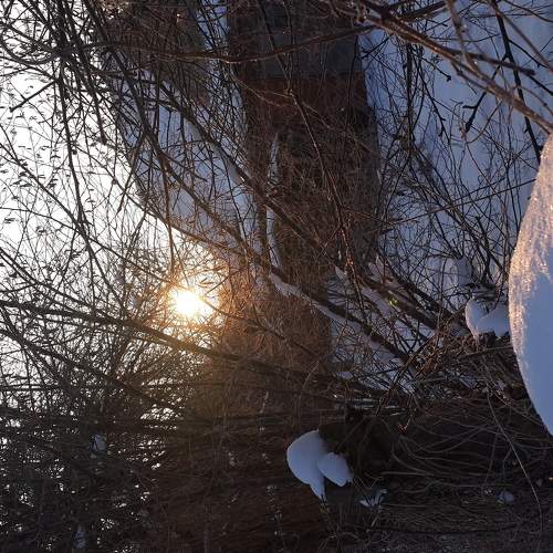 Photo #5781900