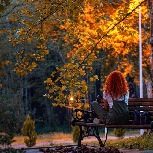 Photo #5781954