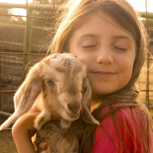 Photo #5781973