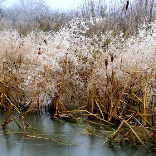 Photo #5782443