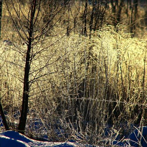 Photo #5782472