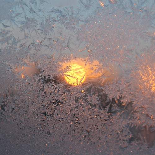 Winter patterns