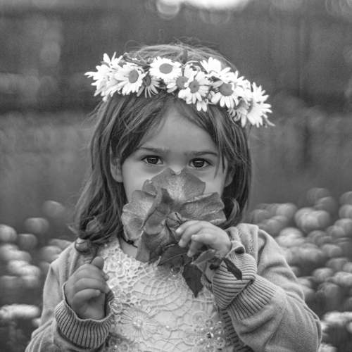 Photo #5782589