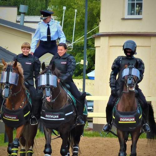 Photo #5782610