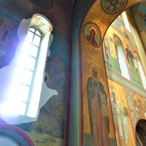 Photo #5782620