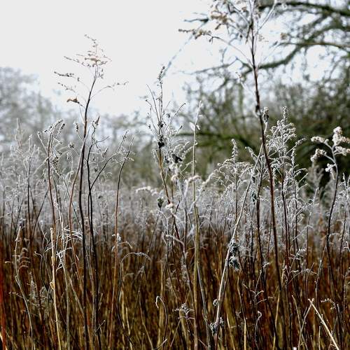 Photo #5782626