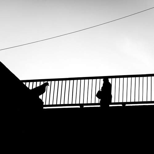 Photo #5782657