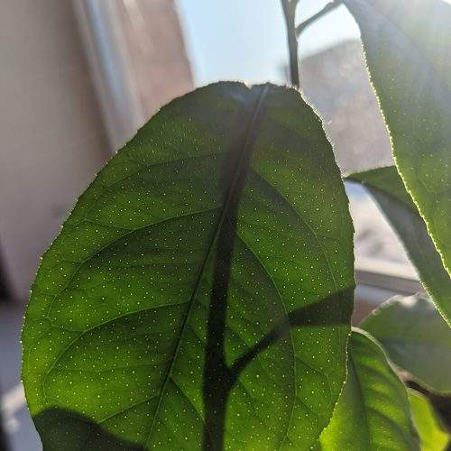 Photo #5782771