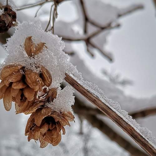 Photo #5782838