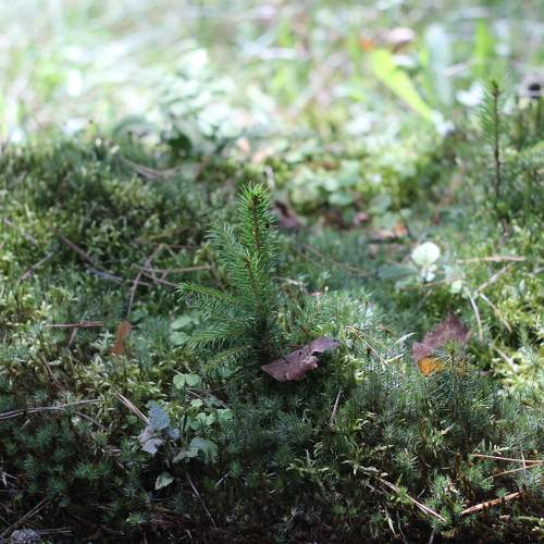Photo #5782847