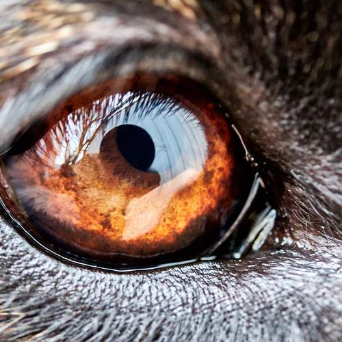 Photo #5783424
