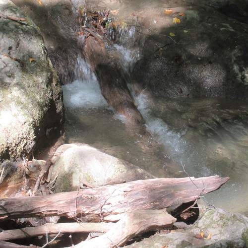 Photo #5783487