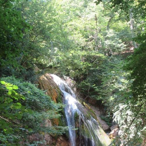 Photo #5783518