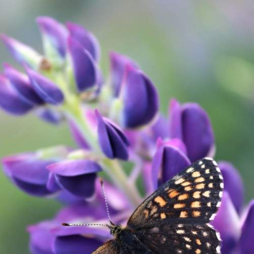 Photo #5783931