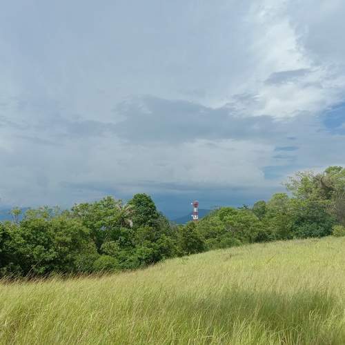Photo #5784505