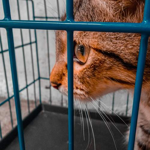 Photo #5784510