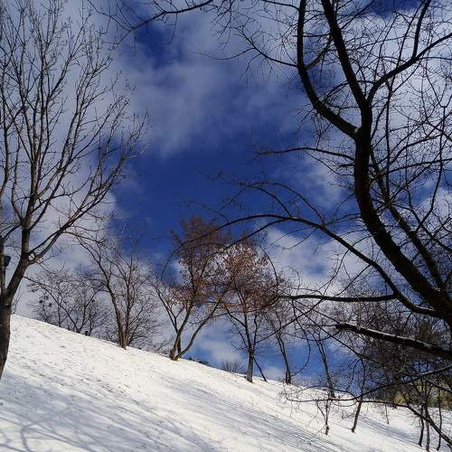 Photo #5784642