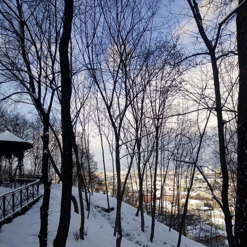 Photo #5784686