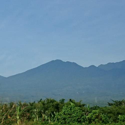 Photo #5784956