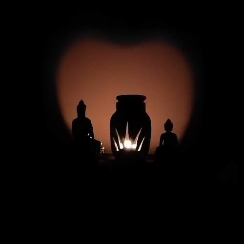 Photo #5785023
