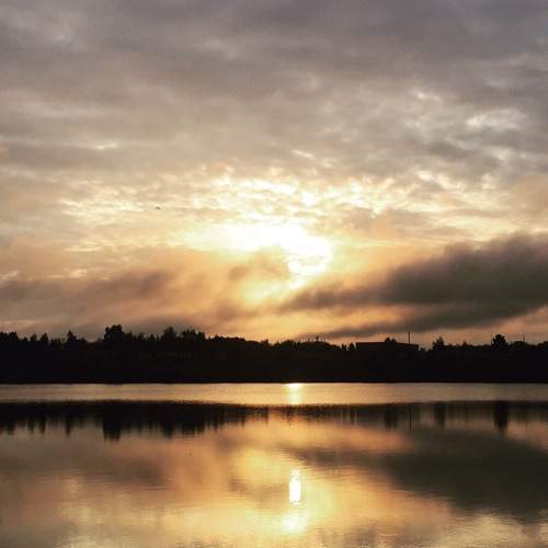 Photo #5785316