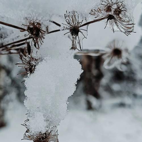 Photo #5785458